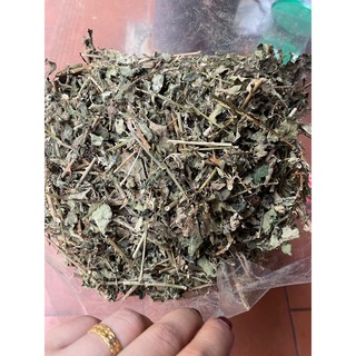Cà gai leo khô 1kg