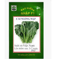 Gói 20 gram hạt giống cải ngồng mập