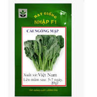 Gói 20 gram hạt giống cải ngồng mập