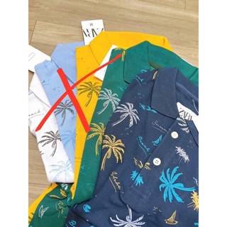 Combo áo cổ trụ size s m l xl