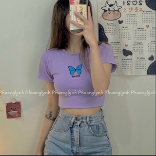 Áo croptop bướm siêu xinh