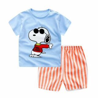 Combo 5 bộ thun cộc tay bé trai