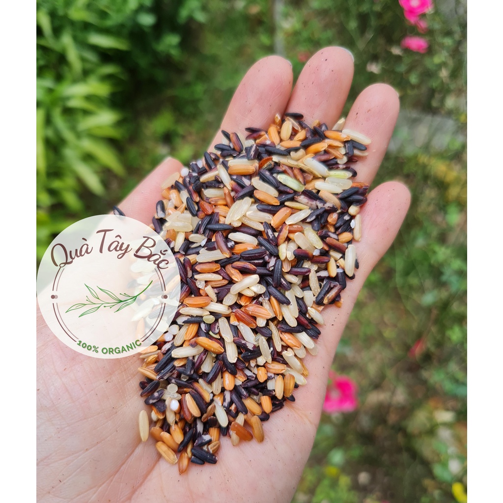 Gạo lứt dẻo Tam Sắc hỗ trợ Ăn kiêng Giảm cân Eatclean