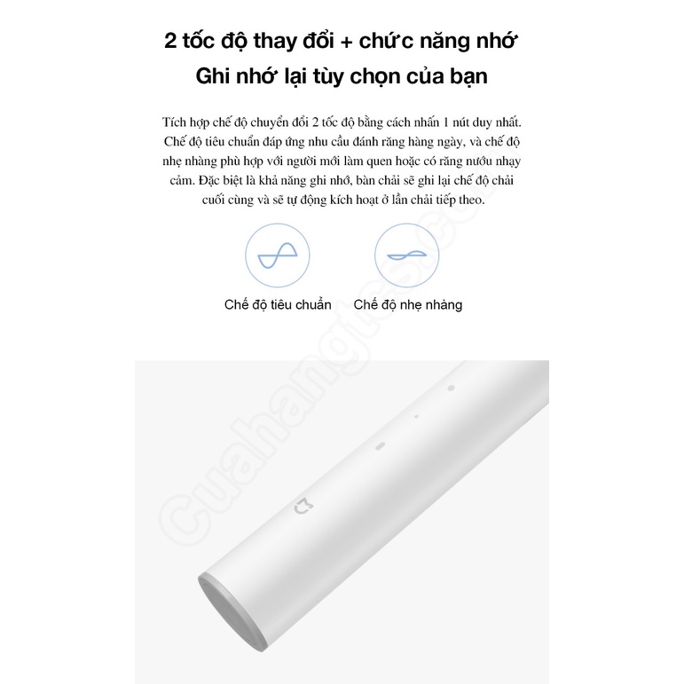 (*)GIAO HỎA TỐC Bàn Chải Điện Xiaomi Mijia T300 - Bàn Chải Đánh Răng Mijia T300