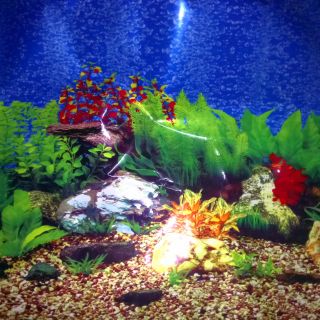 1M TRANH DÁN BỂ CÁ-3 MẪU - KHỔ 40CM