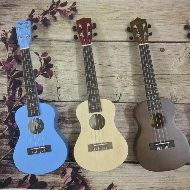  ĐÀN UKULELE CONCERT SIZE 23 INCH GIÁ RẺ - UY TÍN - HÀNG CÓ SẴN  Qsp14