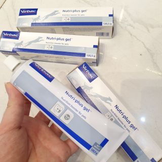 Nutri Plus Gel Virbac - Bổ sung vitamin và khoáng chất cho Chó Mèo