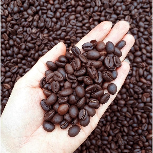 Cà Phê Hạt Robusta Nguyên Chất Rang Mộc 100%