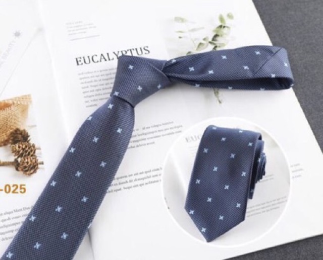 Cà vạt nam bản 6cm văn phòng lịch sự