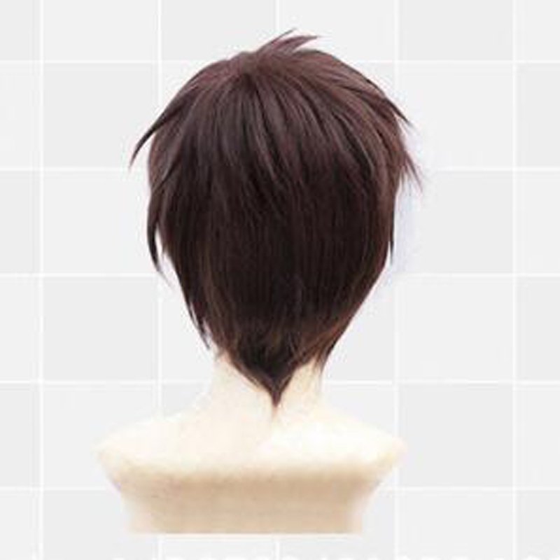 Attack on Titan Mikasa/Allen/Bao Long Wig Cosplay Wig Headgear Send Hair Net