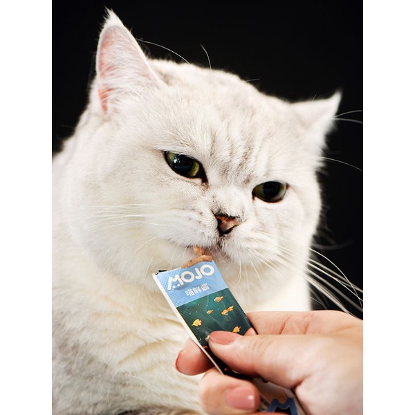 Súp Thưởng Mojo Cho Mèo - Gói 4 Thanh