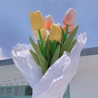 Mua Hoa Tulip Trang Trí