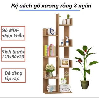 Kệ sách gỗ xương rồng
