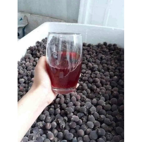 Sim Rừng Khô Ngâm Rượu Thơm Ngon Loại 1