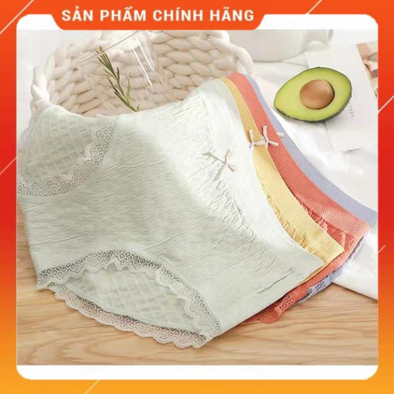 Quần lót nữ cotton vải mềm ôm bụng nâng mông, quần chíp thông hơi co giãn 4 chiều 556
