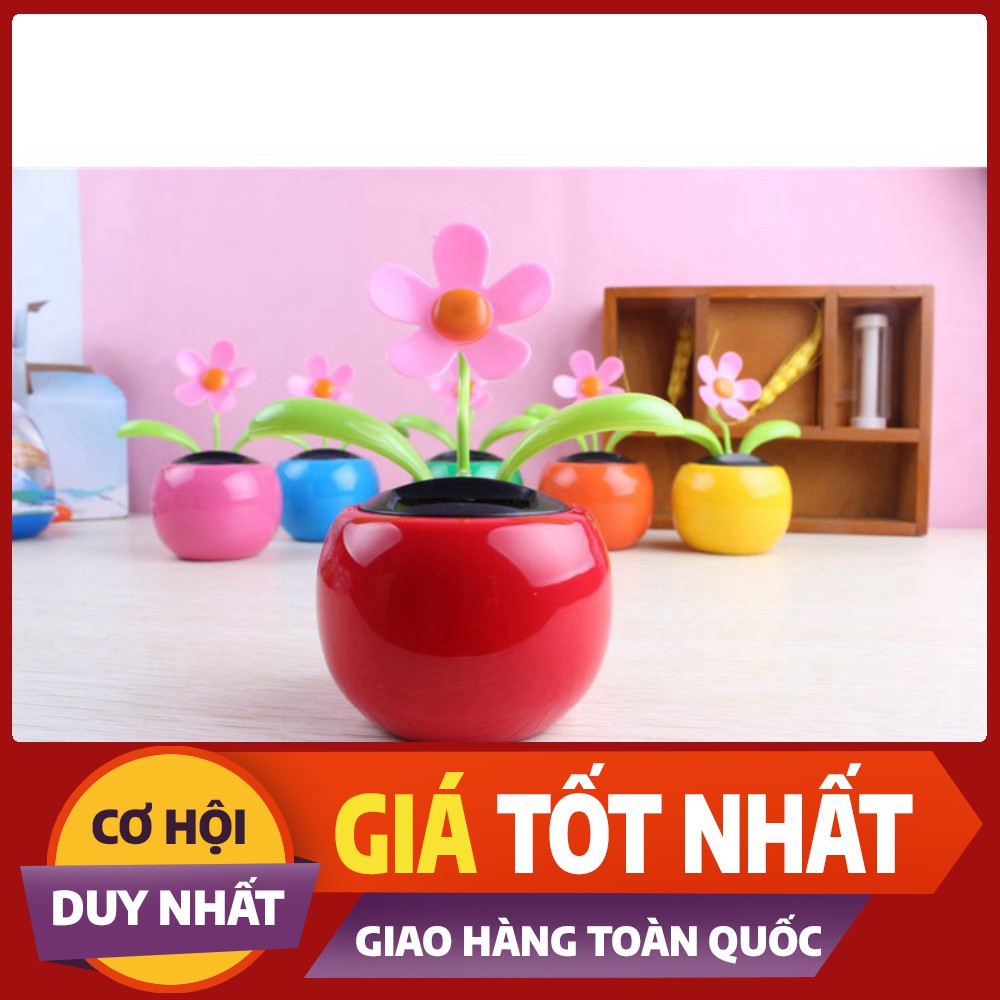 [GIẢM GIÁ SỐC]- Bình hoa lúc lắc-cảm biến năng lượng mặt trời -[shop uy tín]