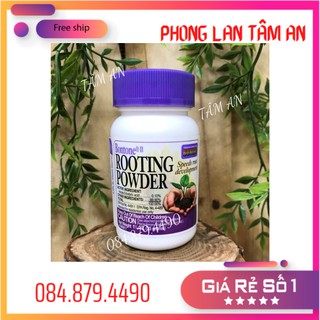 Rooting Powder dạng bột siêu kích rễ từ Mỹ (35g) -Giâm cành, chiết cành, chống khuẩn