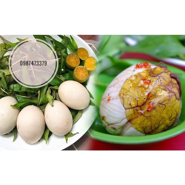 Trứng gà, trứng vịt tươi, mới, ngon hàng ngày