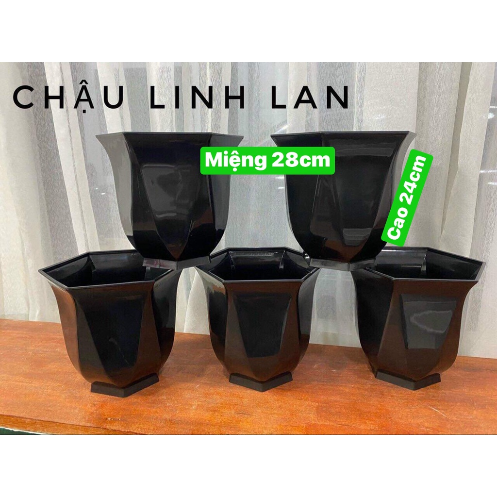 Chậu Nhựa Trồng Cây Cảnh, Hoa Trong Nhà Linh Lan Kt 28 x24cm Màu Đen