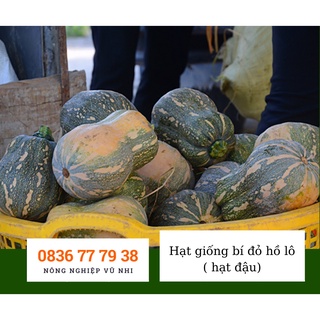 Hạt giống bí đỏ hồ lô ( bí đỏ hạt đậu)