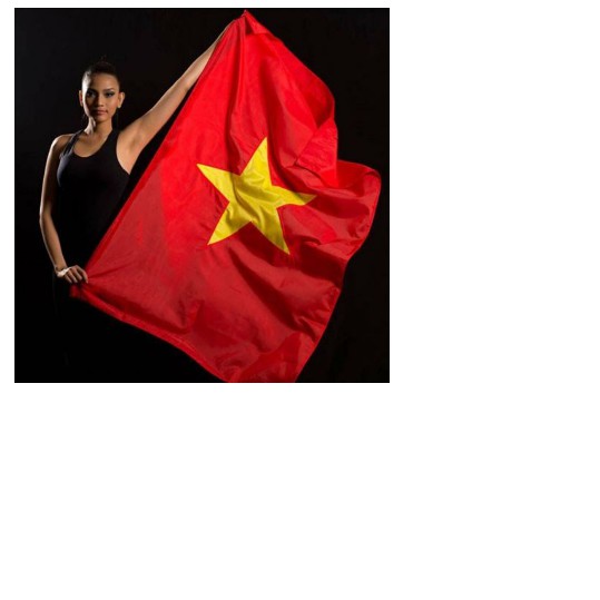 Cờ tổ quốc