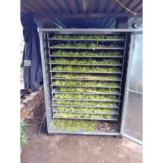 lá đu đủ đực khô 0,5kg (lá đu đủ đực nguyên chất)