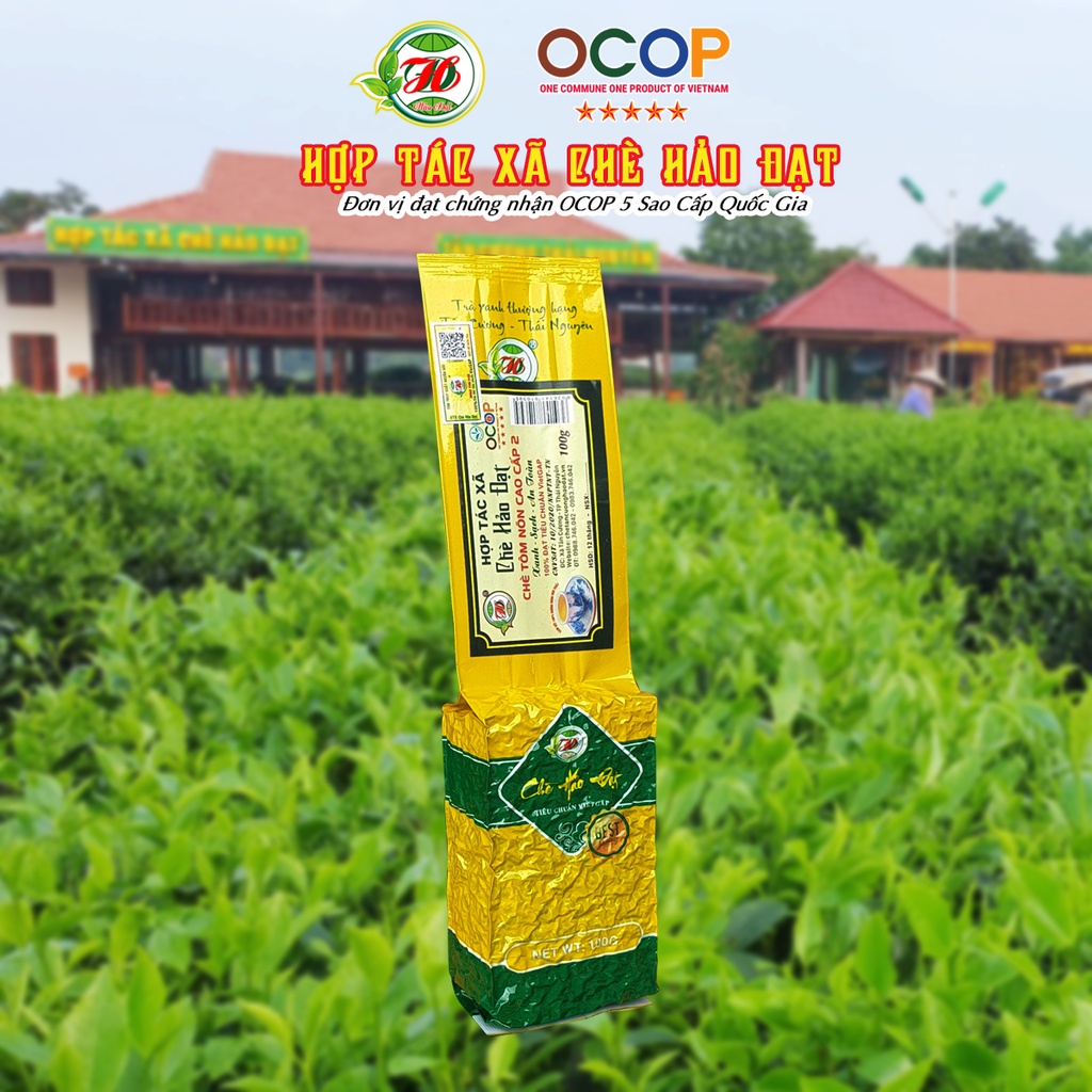 Chè Tôm Nõn Cao Cấp 2 - Hợp Tác Xã Chè Hảo Đạt - Chè Tân Cương Thái Nguyên