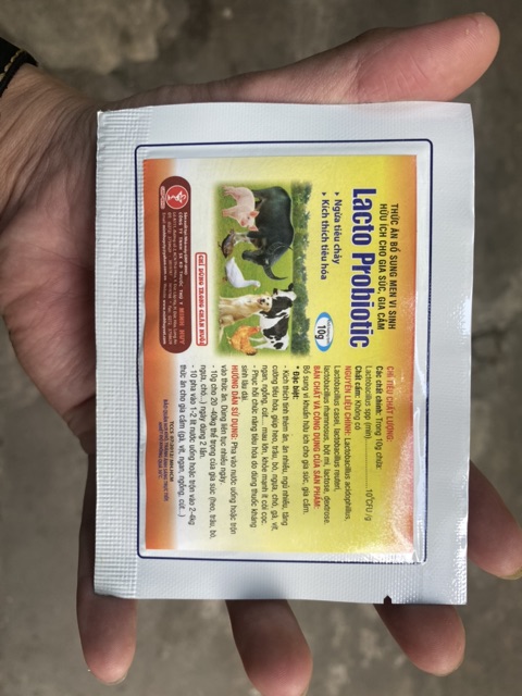 Lacto probiotic - bổ sung men vi sinh có lợi cho vật nuôi