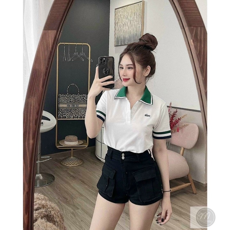 Polo cá sấu cổ xanh
