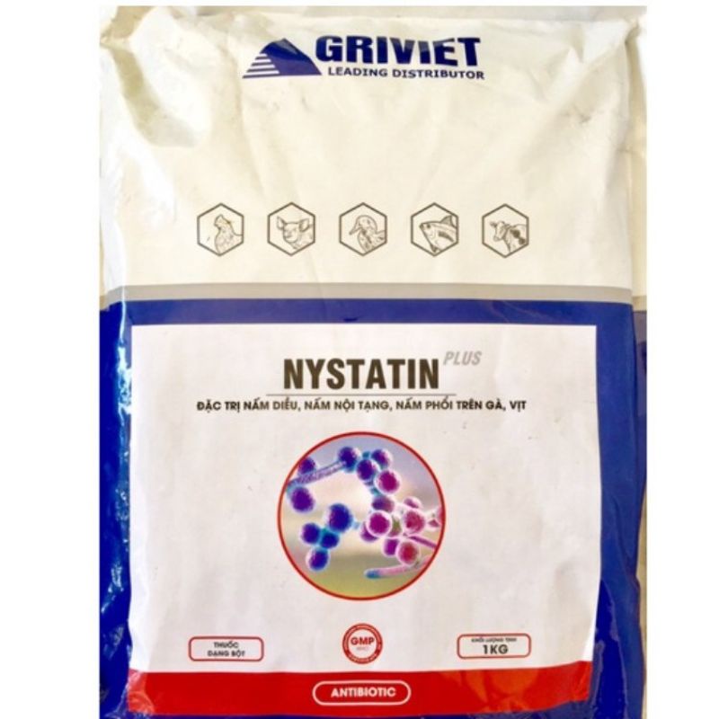 Nấm phổi nấm diều gói 200g