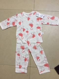 Bộ cotton giấy cho bé