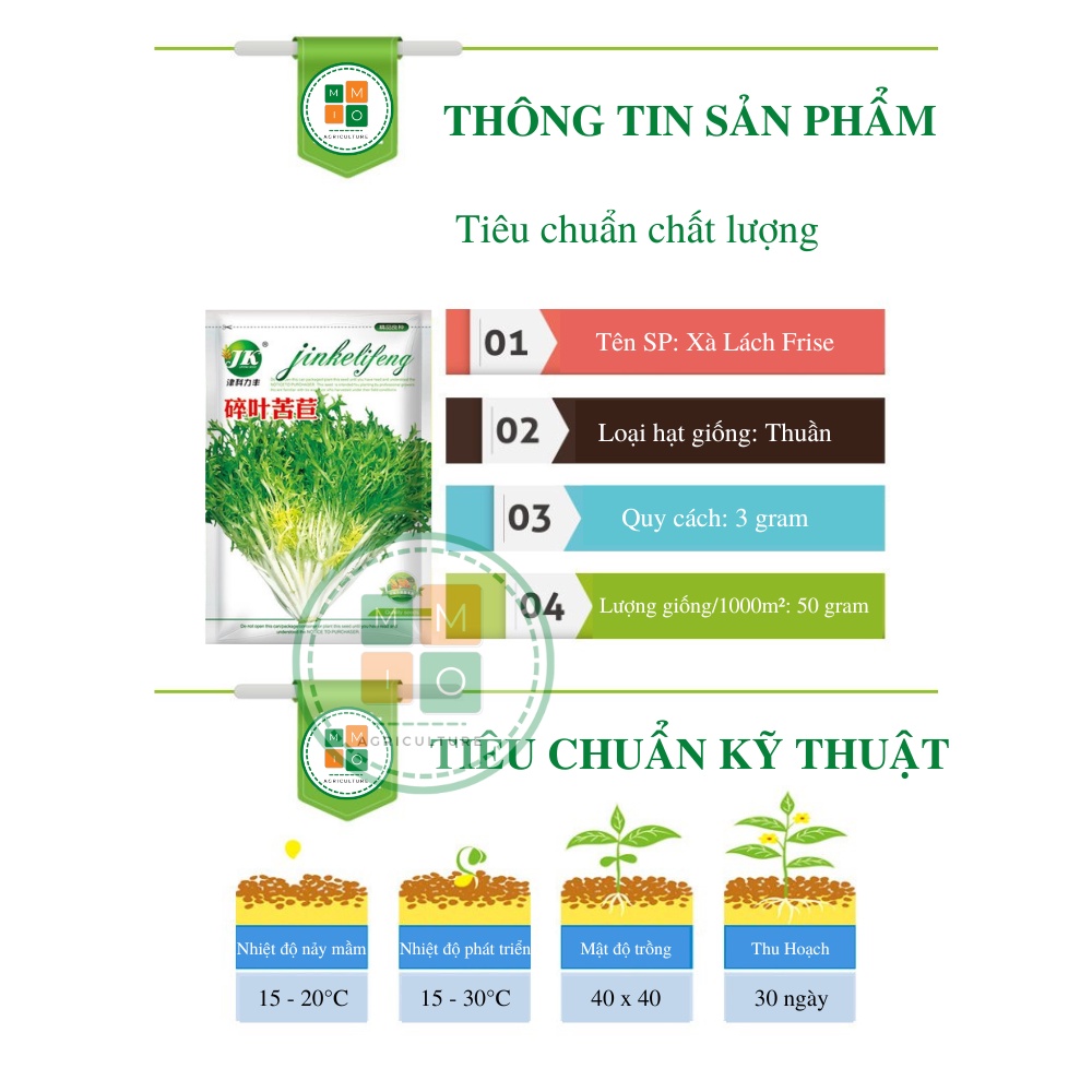 Hạt giống xà lách san hô Frise - giá trị dinh dưỡng rất cao
