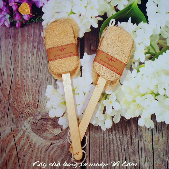 Cây Chà Lưng Xơ mướp - Natural Loofar Back Brush