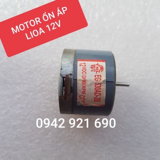 Động cơ 12V ổn áp Lioa - Motor ổn áp