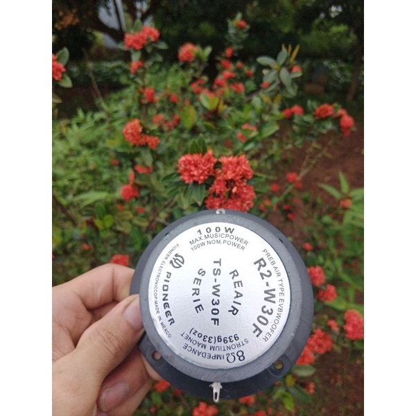 Loa trelbe từ kép Pioneer 4 inch 100w