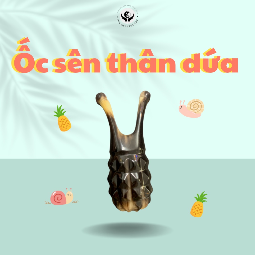 Ốc Sên Thân Dứa Massage Phong Cách Dễ Thương - Min Healthcare