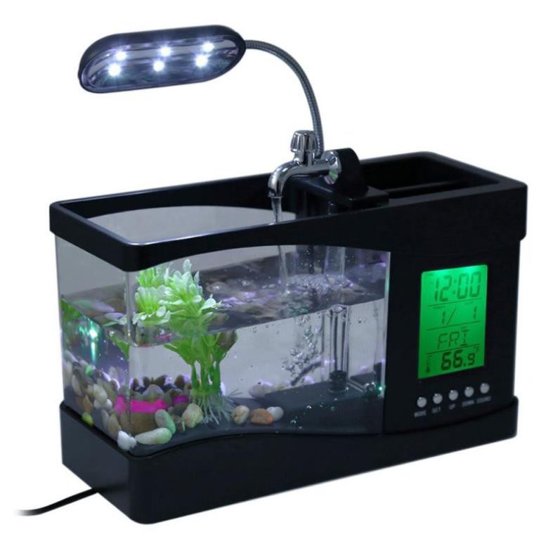 Hồ cá mini để bàn Free ship đồ chơi phong thủy cho bạn không gian thư giãn trong căn phòng của mình
