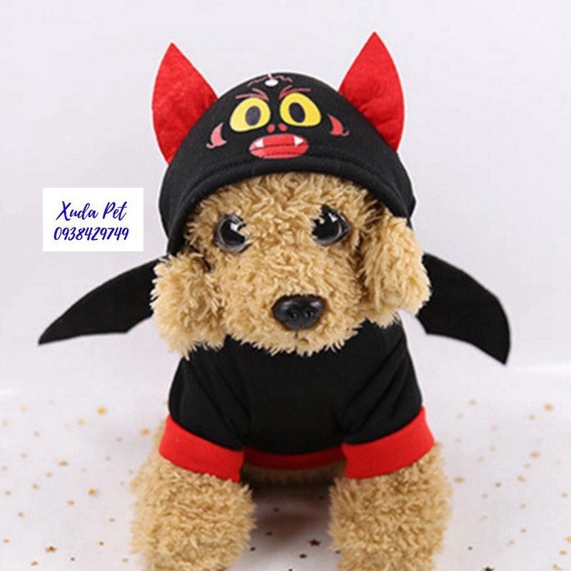 Áo hóa trang halloween cho chó mèo hình cánh dơi siêu chất, siêu ngộ nghĩnh Xudapet-SP500114