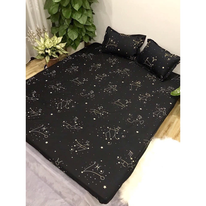 Ga Kèm 2 Vỏ Gối Nằm, Bộ Ga Gối Cotton Poly, Set Ga Gối 3 Món, Drap Giường, Ga Giường, Đủ Kích Thước M2/M6/M8/2M2