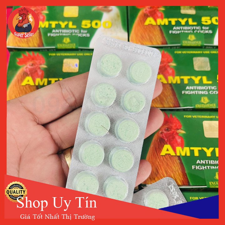 Amtyl 500 Hộp 10 Vĩ{100 Viên} Dùng Cho Gà Bị Tang-Khò Khè-Sổ Mũi