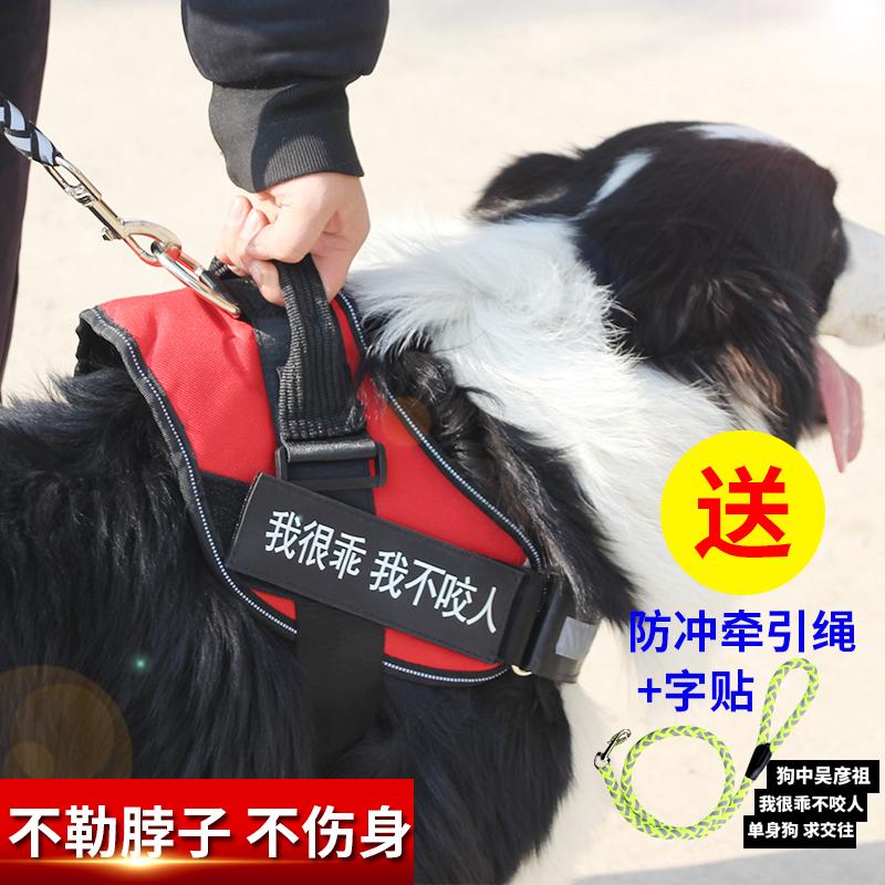 Dây dắt thú cưng đi dạo cỡ vừa và lớn
