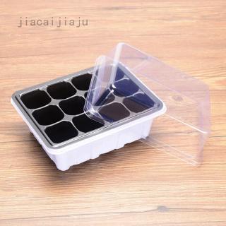 Khay trồng cây cảnh 6/12 ngăn tiện dụng