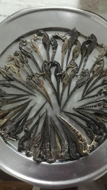 Cá Ngựa Khô 1 con size 7-9cm