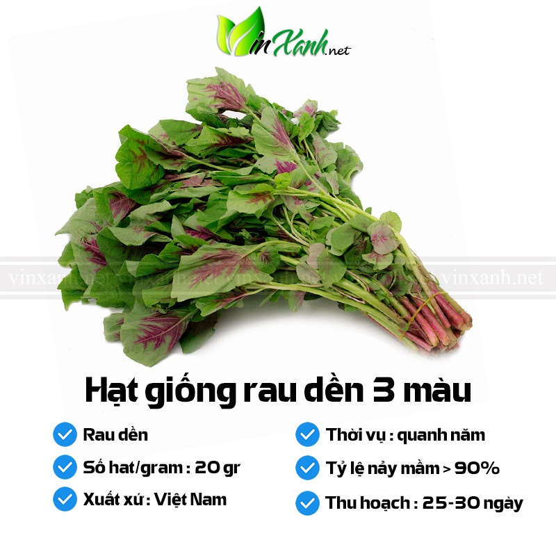 Hạt giống rau dền 3 màu - NGUYÊN GÓI hàng Công ty tuyển chọn tỷ lệ nảy mầm cao