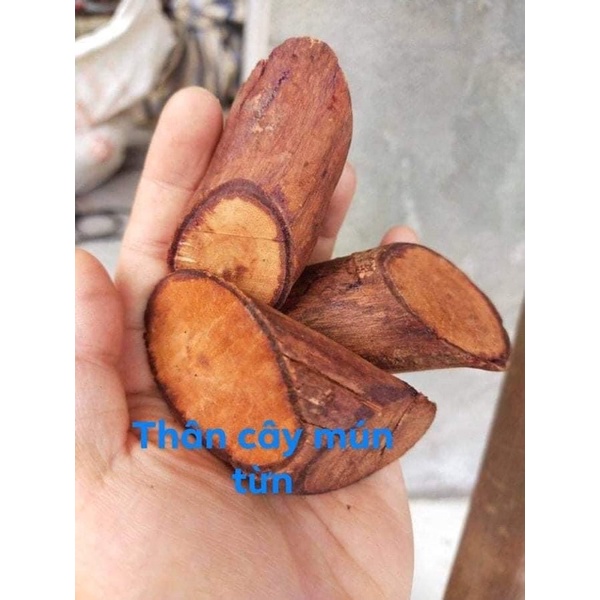 RỄ MÚ TỪN- chuẩn 1kg Rễ cây boong lậu/ hàng thơm mới