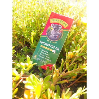 Dầu khuynh diệp Úc Euky Bear 60ml