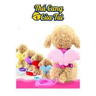 Dây Dắt Hình Đôi Cánh Thiên Thần Cho Thú Cưng Chó Mèo Dưới 5kg - Thú Cưng Của Tui