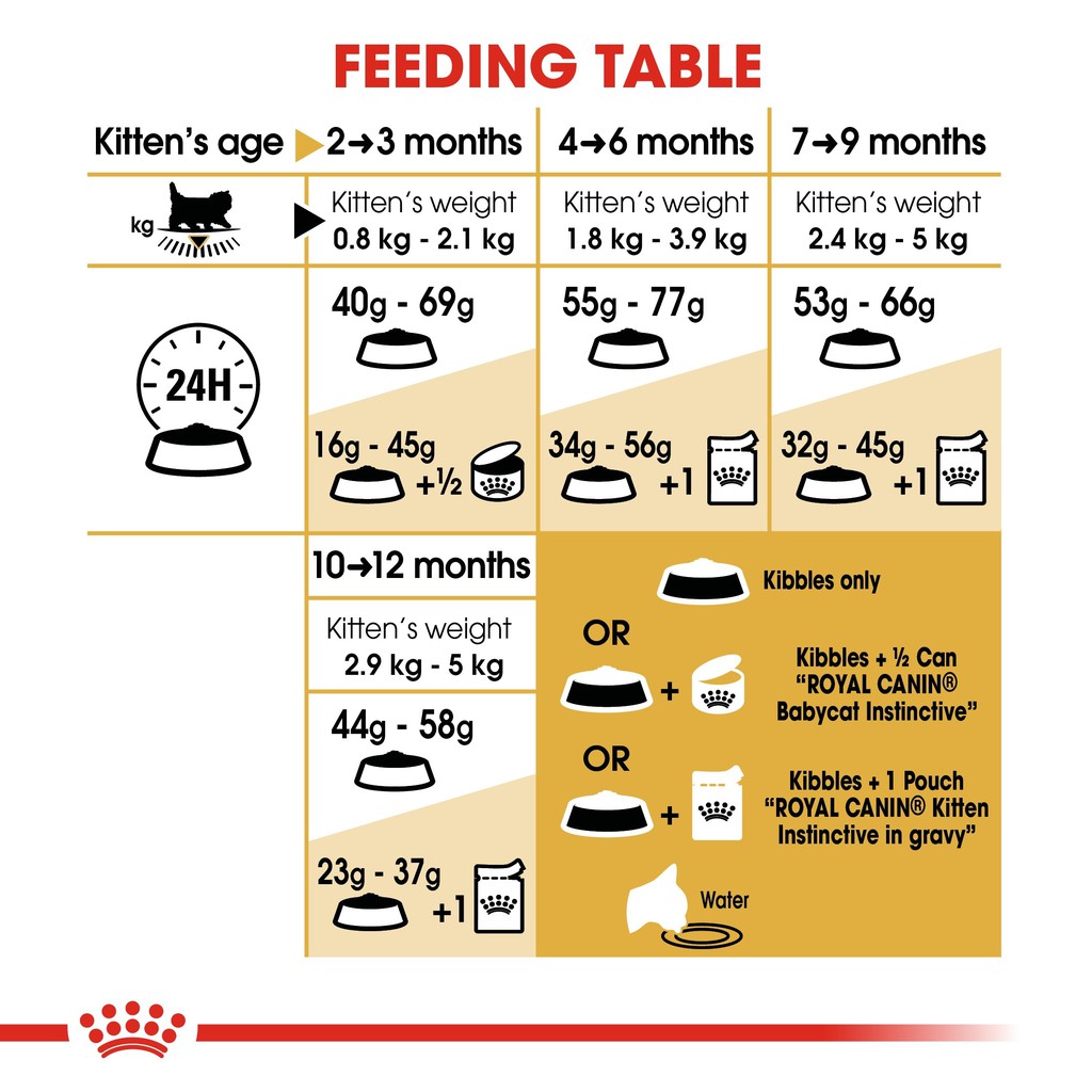 Hạt Royal Canin Persian Kitten Mèo Ba Tư Nhỏ