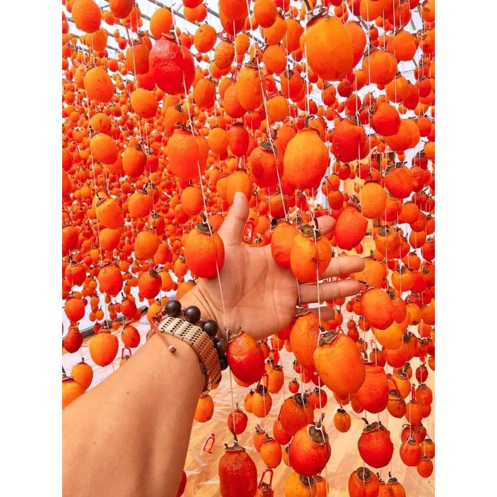 500gr Hồng treo gió nguyên trái Đà Lạt loại 1, dẻo ngon