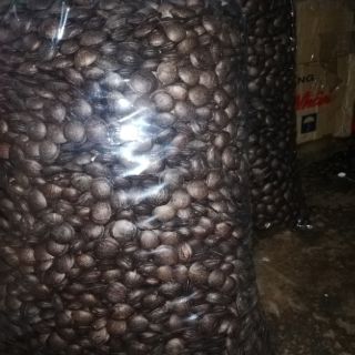 Hạt sachi rang muối hoặc sấy chín ăn liền 500g